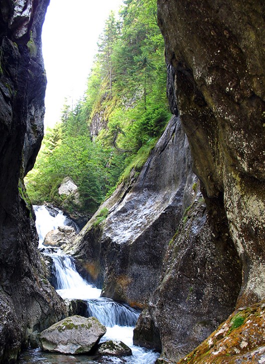 cheile-butii_0 (1)