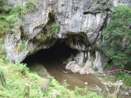 pestera-bolii-intrare