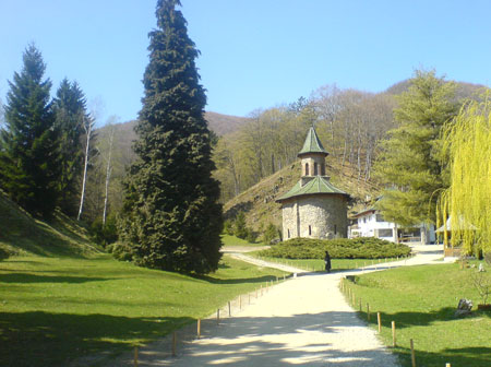 prislop-prislop-(165) (1)